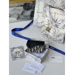 2026年2月19日新作高品質Diorバッグ /LYS工場