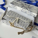 2026年2月19日新作高品質Diorバッグ /LYS工場