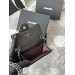 2026年2月19日新作高品質ChanelMini  本革バッグsize:11×2×7.5cm /LYS工場