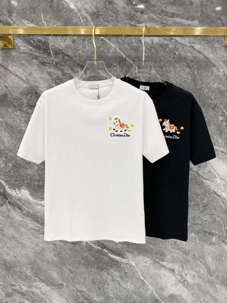 2026年3月25日入荷新作Dior半袖 tシャツ 超厳選★高級品/誕生日プレゼント/OM工場