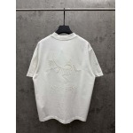 2026年3月17日新作ARCTERYX半袖 tシャツ人気商品/誕生日プレゼント/FF工場