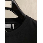 2026年3月19日春夏新作Dior半袖 tシャツ原版復刻高級素材/A5工場