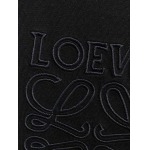 2026年3月19日春夏新作Loewe半袖 tシャツ原版復刻高級素材/A5工場