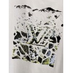 2026年3月19日春夏新作Louis Vuitton半袖 tシャツ原版復刻高級素材/A5工場