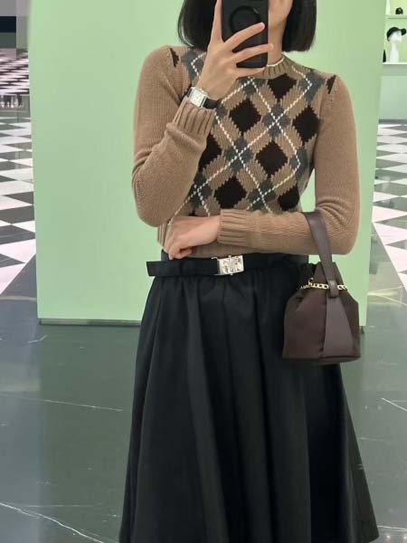 2026年3月22日入荷早春新作Prada スカート 女性用...