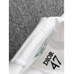 2026年3月30日入荷新作Dior半袖Tシャツ春夏高品質超厳選★入手困難/LD工場