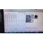 2026年4月1日入荷新作Thom Brownetシャツ高級品/SP工場0 1 2 3 4