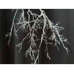 2026年4月12日入荷新作Givenchy半袖 tシャツ 原版復刻人気で【极品】/正規品と同じサイズ/VR工場