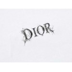 2026年4月14日春夏入荷新作DIOR短袖Tシャツ人気商品/HJJ工場