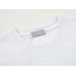 2026年4月14日春夏入荷新作DIOR短袖Tシャツ人気商品/HJJ工場