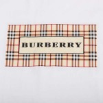 2026年4月14日春夏入荷新作BURBERRY短袖Tシャツ人気商品/HJJ工場