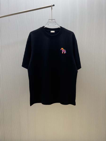 2026年4月17日新作Dior半袖 tシャツ高品質/誕生日...