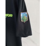 2026年6月2日入荷春夏新作Dior半袖Tシャツ高品質DH工場