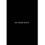 2026年9月5日秋冬新作Burberry半袖 tシャツ高品質人気の商品/YGY工場