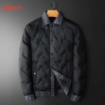 2026年10月25日秋冬新作Louis Vuitton  ダウンジャケット人気商品 /TY工場