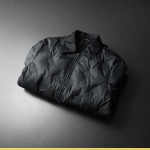 2026年10月25日秋冬新作 Louis Vuittonダウンジャケット 服人気商品 /TY工場