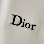2026年10月26日入荷秋冬新作Dior半袖Tシャツ高級品/LD工場